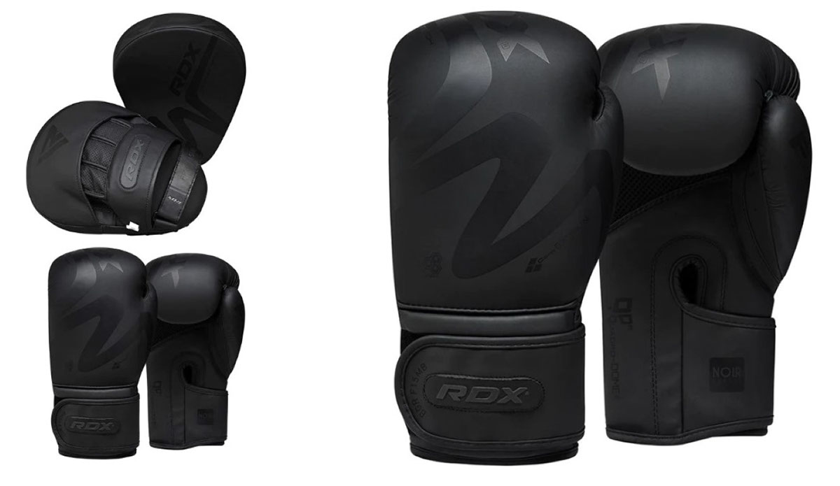 Punch and Defend_Essential Boxing Gloves and Pads rendition image